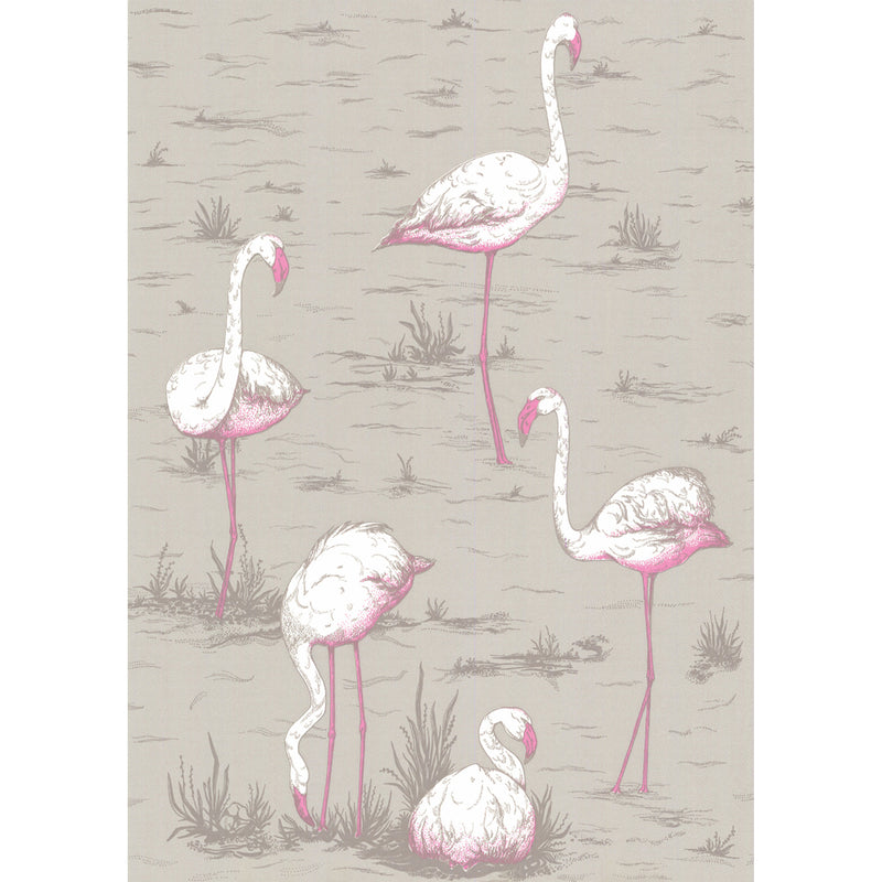 Flamingos - Scenic Wallpaper