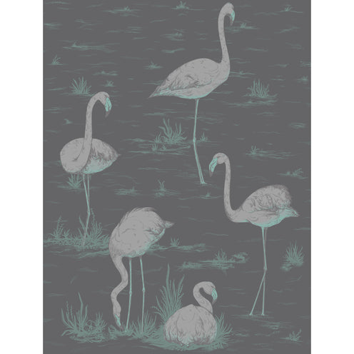 Flamingos - Scenic Wallpaper