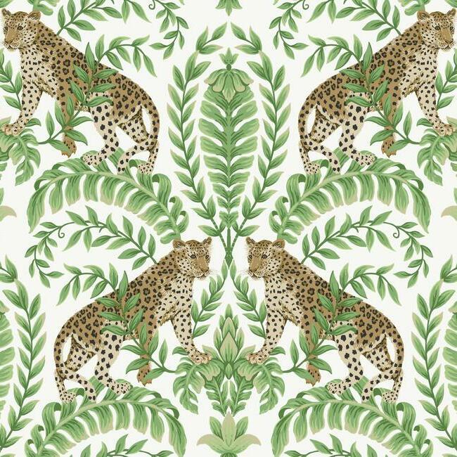 Jungle Leopard - Animal Wallpaper by Ronald Redding