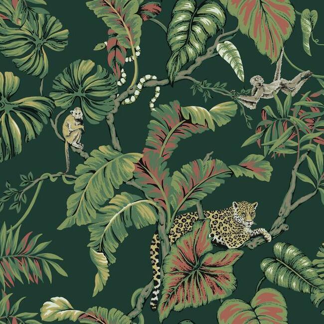 Jungle Cat - Nature Wallpaper by Ronald Redding