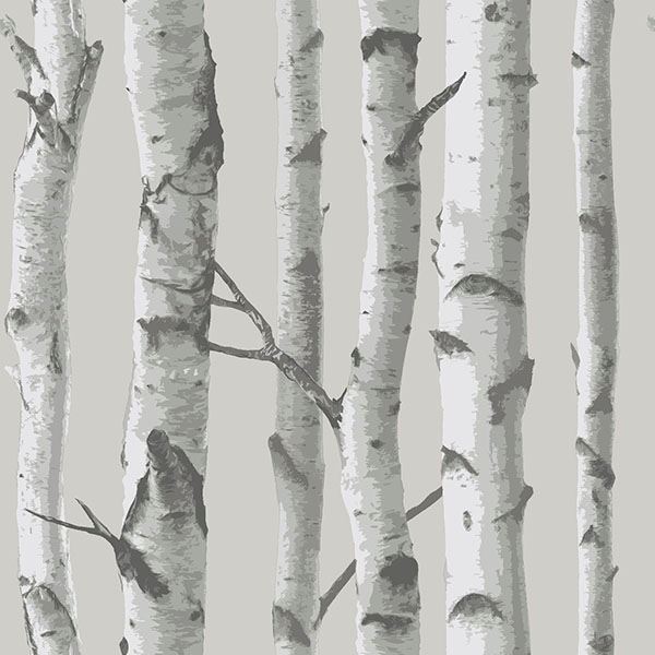 Mountain Birch Peel And Stick Wallpaper