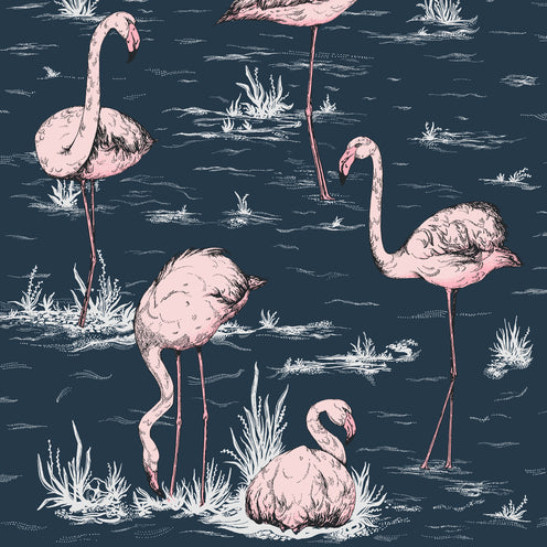 Flamingos - Scenic Wallpaper