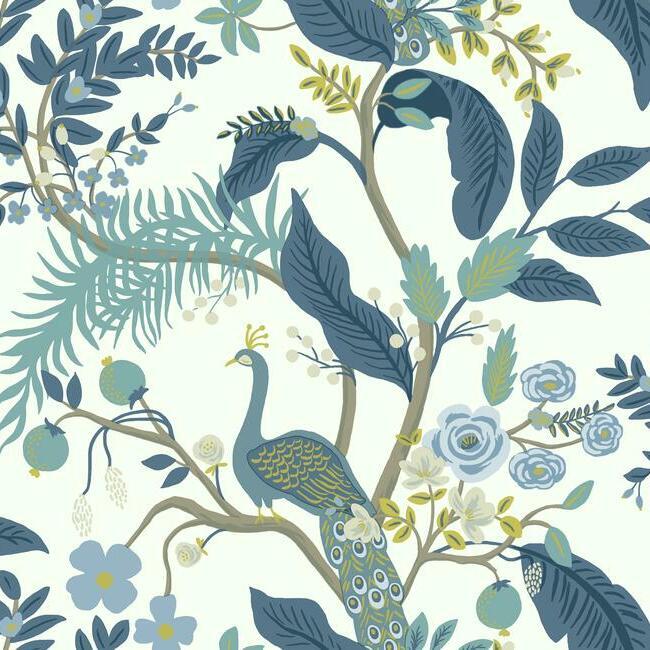 Peacock - Wallpaper by Rifle Paper Co.