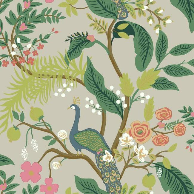 Peacock - Wallpaper by Rifle Paper Co.