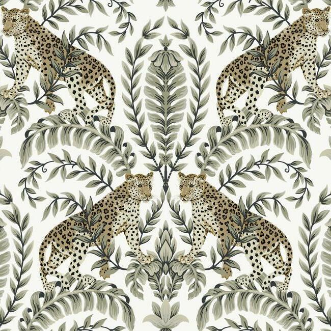 Jungle Leopard - Animal Wallpaper by Ronald Redding