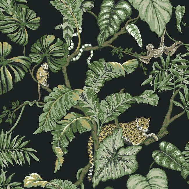Jungle Cat - Nature Wallpaper by Ronald Redding